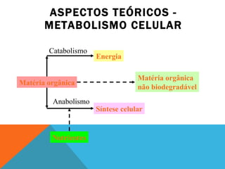 ASPECTOS TEÓRICOS - METABOLISMO CELULAR Matéria orgânica Energia Síntese celular Nutrientes Matéria orgânica  não biodegradável Anabolismo Catabolismo 