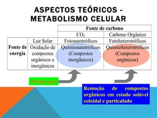 ASPECTOS TEÓRICOS - METABOLISMO CELULAR Nitrificação Remoção de compostos orgânicos em estado solúvel coloidal e particulado 
