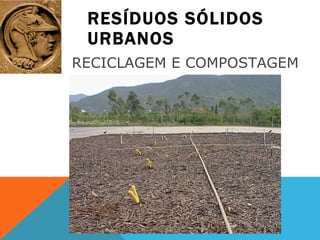 RESÍDUOS SÓLIDOS URBANOS RECICLAGEM E COMPOSTAGEM  