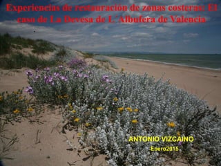 Experiencias de restauración de zonas costeras: El
caso de La Devesa de L´Albufera de Valencia
ANTONIO VIZCAINO
Enero2015
 