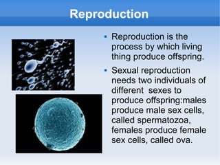 Reproduction
 Reproduction is the
process by which living
thing produce offspring.
 Sexual reproduction
needs two individuals of
different sexes to
produce offspring:males
produce male sex cells,
called spermatozoa,
females produce female
sex cells, called ova.
 