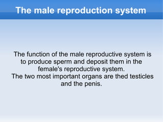 The male reproduction system
The function of the male reproductive system is
to produce sperm and deposit them in the
female's reproductive system.
The two most important organs are thed testicles
and the penis.
 