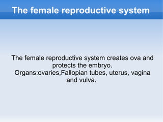 The female reproductive system
The female reproductive system creates ova and
protects the embryo.
Organs:ovaries,Fallopian tubes, uterus, vagina
and vulva.
 