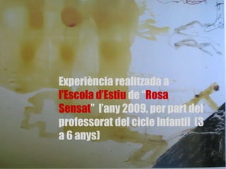 Experiència realitzada a  l’Escola d’Estiu  de “ Rosa Sensat ”  l’any 2009, per part del professorat del cicle Infantil  (3 a 6 anys) 