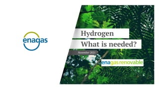 November 2021
Hydrogen
What is needed?
 