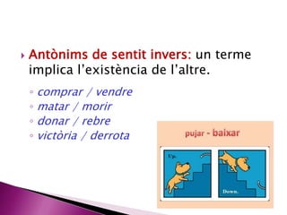  Antònims de sentit invers: un terme 
implica l’existència de l’altre. 
◦ comprar / vendre 
◦ matar / morir 
◦ donar / rebre 
◦ victòria / derrota 
 