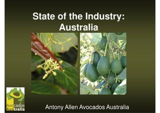 State of the Industry:
      Australia




   Antony Allen Avocados Australia
 