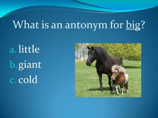 antonyms powerpoint presentation pptx English grade 2 quarter 3 | PPTX