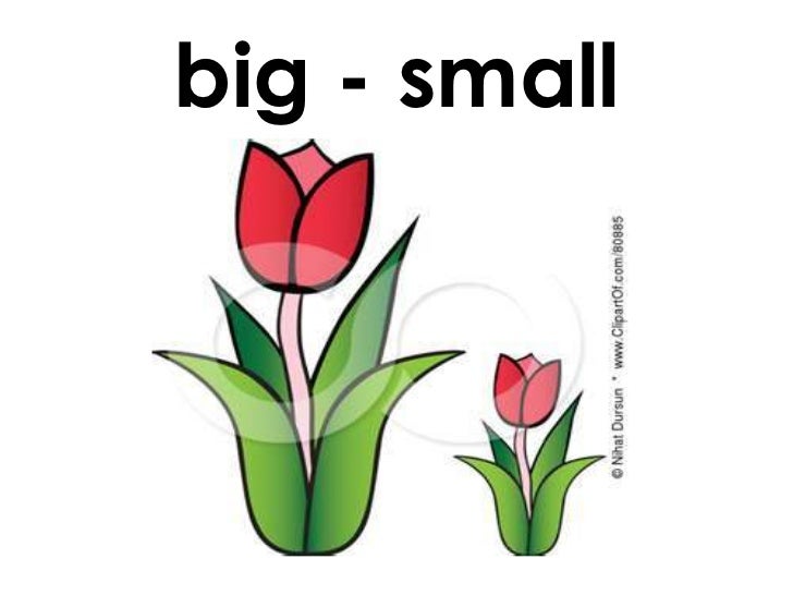 clipart of big and small - photo #18