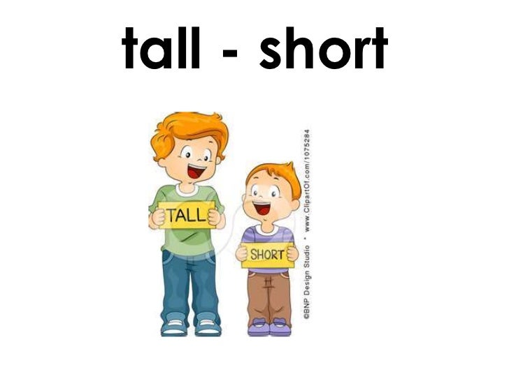 Tall на русском языке. Tall на английском. Short Tall для детей. Appearance карточки Tall short. На английском short и Tall.