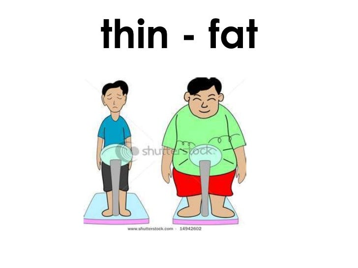 Adjective fat. Thin fat для детей. Thin картинка. Slim and fat рисунок. Fat на английском.