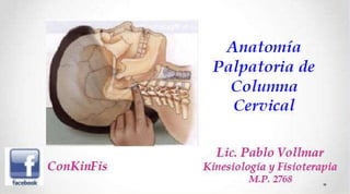 Anatomia Palpatoria Columna Cervical