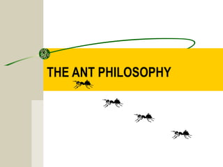 THE ANT PHILOSOPHY
 