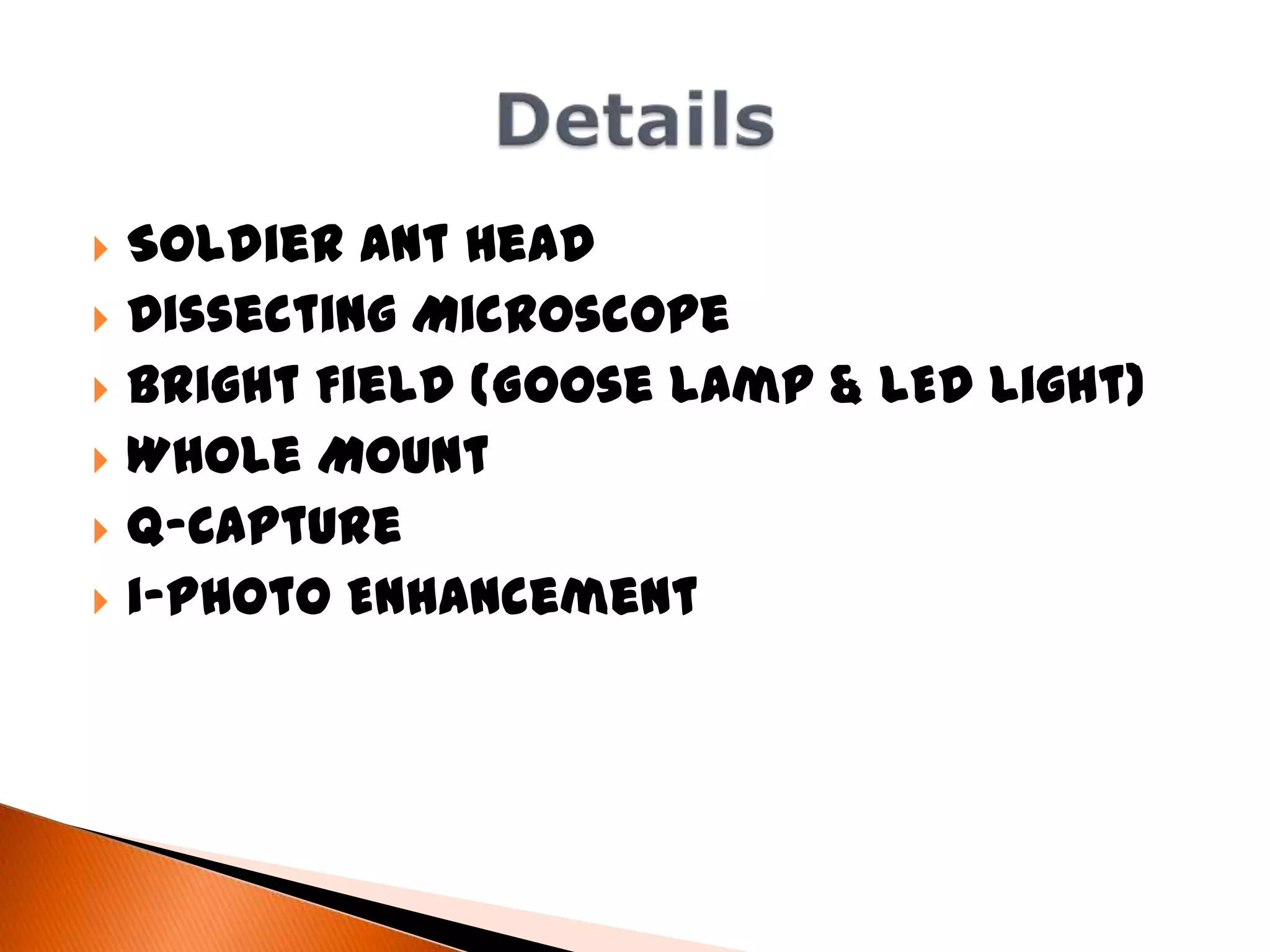 Disecting Scope Led Insect Ant photomicrography | PPTX