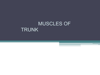 MUSCLES OF
TRUNK
 