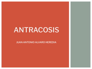 JUAN ANTONIO ALVARO HEREDIA
ANTRACOSIS
 