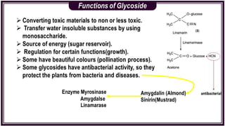 Antraquinone glycosides