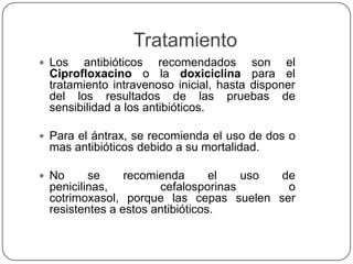Tratamiento
 Los antibióticos recomendados son el
Ciprofloxacino o la doxiciclina para el
tratamiento intravenoso inicial, hasta disponer
del los resultados de las pruebas de
sensibilidad a los antibióticos.
 Para el ántrax, se recomienda el uso de dos o
mas antibióticos debido a su mortalidad.
 No se recomienda el uso de
penicilinas, cefalosporinas o
cotrimoxasol, porque las cepas suelen ser
resistentes a estos antibióticos.
 