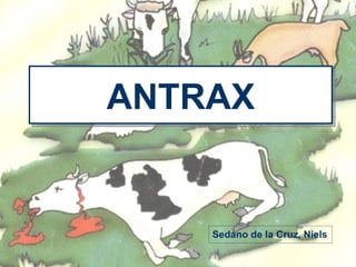 ANTRAX Sedano de la Cruz, Niels 