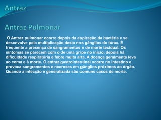 O Antraz pulmonar ocorre depois da aspiração da bactéria e se
desenvolve pela multiplicação desta nos gânglios do tórax. É
frequente a presença de sangramentos e de morte tecidual. Os
sintomas se parecem com o de uma gripe no início, depois há
dificuldade respiratória e febre muita alta. A doença geralmente leva
ao coma e à morte. O antraz gastrointestinal ocorre no intestino e
provoca sangramentos e necroses em gânglios próximos ao órgão.
Quando a infecção é generalizada são comuns casos de morte.
 