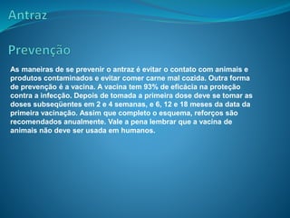 As maneiras de se prevenir o antraz é evitar o contato com animais e
produtos contaminados e evitar comer carne mal cozida. Outra forma
de prevenção é a vacina. A vacina tem 93% de eficácia na proteção
contra a infecção. Depois de tomada a primeira dose deve se tomar as
doses subseqüentes em 2 e 4 semanas, e 6, 12 e 18 meses da data da
primeira vacinação. Assim que completo o esquema, reforços são
recomendados anualmente. Vale a pena lembrar que a vacina de
animais não deve ser usada em humanos.
 