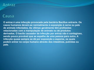 O antraz é uma infecção provocada pela bactéria Bacillus antracis. Os
casos humanos devem-se normalmente à exposição à carne ou pele
de animais infectados. As vítimas geralmente têm profissões
relacionadas com a manipulação de animais ou de produtos
derivados. O bacilo causador da infecção por antraz não é contagioso,
sendo pouco provável que se espalhe de uma pessoa para outra. A
infecção quase sempre se dá por exposição a esporos, os quais
podem entrar no corpo humano através dos intestinos, pulmões ou
pele.
 