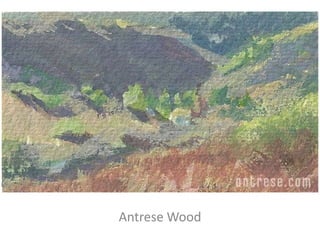 Antrese Wood

 