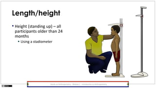 Length/height
• Height (standing up) – all
participants older than 24
months
 Using a stadiometer
Hands-on Anthropometry – Module 1 – Introduction to Anthropometry
 