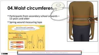 04.Waist circumference
• Participants from secondary school onwards –
13 years and older
• Spring-wound measuring tape
Hands-on Anthropometry – Module 1 – Introduction to Anthropometry
 