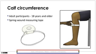 Calf circumference
• Adult participants - 18 years and older
• Spring-wound measuring tape
Hands-on Anthropometry – Module 1 – Introduction to Anthropometry
 