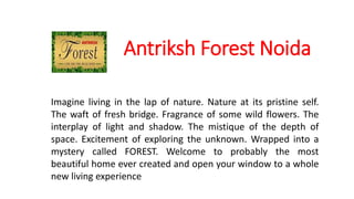 Antriksh Forest Noida
Imagine living in the lap of nature. Nature at its pristine self.
The waft of fresh bridge. Fragrance of some wild flowers. The
interplay of light and shadow. The mistique of the depth of
space. Excitement of exploring the unknown. Wrapped into a
mystery called FOREST. Welcome to probably the most
beautiful home ever created and open your window to a whole
new living experience
 