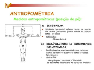 Antromotria