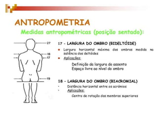 Antromotria