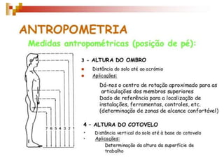 Antromotria