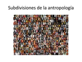 Subdivisiones de la antropología
 