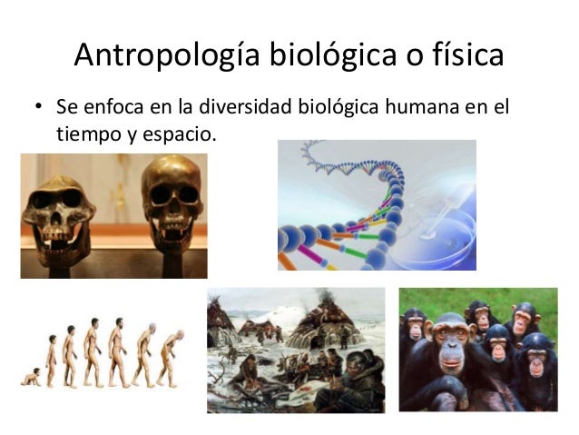 Antropología