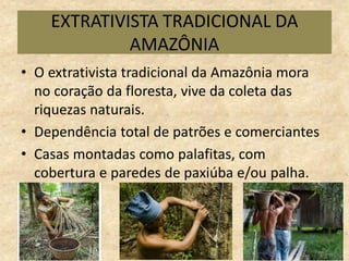 EXTRATIVISTA TRADICIONAL DA
AMAZÔNIA
• O extrativista tradicional da Amazônia mora
no coração da floresta, vive da coleta das
riquezas naturais.
• Dependência total de patrões e comerciantes
• Casas montadas como palafitas, com
cobertura e paredes de paxiúba e/ou palha.
 
