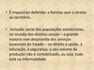 • É impossível defender a floresta sem o direito
ao território.
• Inclusão social das populações extrativistas,
no mundo dos direitos sociais – a grande
maioria vive desprovida dos serviços
essenciais do Estado – no direito à saúde, à
educação, à segurança; o seu volume de
produção não é contabilizado, ou seja, tudo
está na informalidade.
 