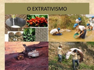 O EXTRATIVISMO
 
