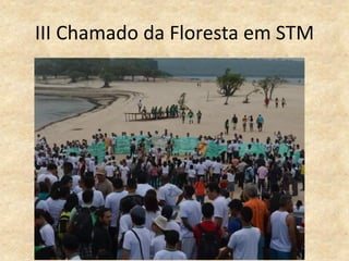 III Chamado da Floresta em STM
 
