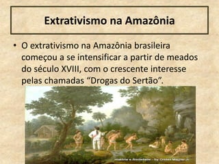 • O extrativismo na Amazônia brasileira
começou a se intensificar a partir de meados
do século XVIII, com o crescente interesse
pelas chamadas “Drogas do Sertão”.
Extrativismo na Amazônia
 