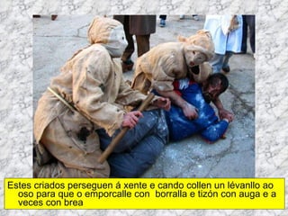 Estes criados perseguen á xente e cando collen un lévanllo ao oso para que o emporcalle con  borralla e tizón con auga e a veces con brea 