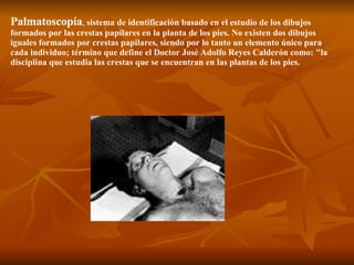 Palmatoscopía ,  sistema de identificación basado en el estudio de los dibujos formados por las crestas papilares en la planta de los pies. No existen dos dibujos iguales formados por crestas papilares, siendo por lo tanto un elemento único para cada individuo; término que define el Doctor José Adolfo Reyes Calderón como: "la disciplina que estudia las crestas que se encuentran en las plantas de los pies.  