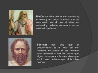 Platón nos dice que es ser humano q el alma y el cuerpo humano son un compuesto en el que el alma es racional y perfecta encarnada en un cuerpo imperfectoSócrates nos dice que el conocimiento es el todo del ser humano, en donde el ser humano esta avanzando mucho hasta que algún día superara la naturaleza que es lo mas perfecto que el hombre conoce  