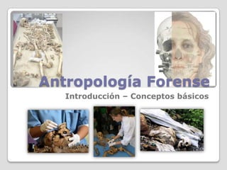 Antropología Forense
   Introducción – Conceptos básicos
 