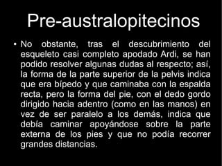 Pre-australopitecinos 
● No obstante, tras el descubrimiento del 
esqueleto casi completo apodado Ardi, se han 
podido resolver algunas dudas al respecto; así, 
la forma de la parte superior de la pelvis indica 
que era bípedo y que caminaba con la espalda 
recta, pero la forma del pie, con el dedo gordo 
dirigido hacia adentro (como en las manos) en 
vez de ser paralelo a los demás, indica que 
debía caminar apoyándose sobre la parte 
externa de los pies y que no podía recorrer 
grandes distancias. 
 