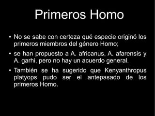 Primeros Homo 
● No se sabe con certeza qué especie originó los 
primeros miembros del género Homo; 
● se han propuesto a A. africanus, A. afarensis y 
A. garhi, pero no hay un acuerdo general. 
● También se ha sugerido que Kenyanthropus 
platyops pudo ser el antepasado de los 
primeros Homo. 
 