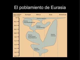 El poblamiento de Eurasia 
 