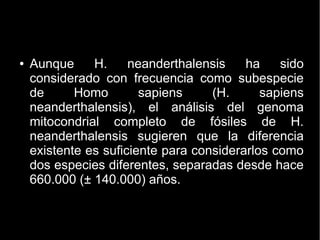 ● Aunque H. neanderthalensis ha sido 
considerado con frecuencia como subespecie 
de Homo sapiens (H. sapiens 
neanderthalensis), el análisis del genoma 
mitocondrial completo de fósiles de H. 
neanderthalensis sugieren que la diferencia 
existente es suficiente para considerarlos como 
dos especies diferentes, separadas desde hace 
660.000 (± 140.000) años. 
 