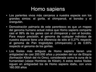 Homo sapiens 
● Los parientes vivos más cercanos a nuestra especie son los 
grandes simios: el gorila, el chimpancé, el bonobo y el 
orangután. 
● Demostración palmaria de este parentesco es que un mapeo 
del genoma humano actual indica que Homo sapiens comparte 
casi el 99% de los genes con el chimpancé y con el bonobo. 
Para mayor precisión, el genoma de cualquier individuo de 
nuestra especie tiene una diferencia de sólo el 0,27% respecto 
al genoma de Pan troglodytes (chimpancés) y de 0,65% 
respecto al genoma de los gorilas. 
● Los fósiles más antiguos de Homo sapiens tienen una 
antigüedad de casi 200.000 años y proceden del sur de Etiopía 
(formación Kibish del río Omo), considerada como la cuna de la 
humanidad (véase Hombres de Kibish). A estos restos fósiles 
siguen en antigüedad los de Homo sapiens idaltu, con unos 
160.000 años 
 